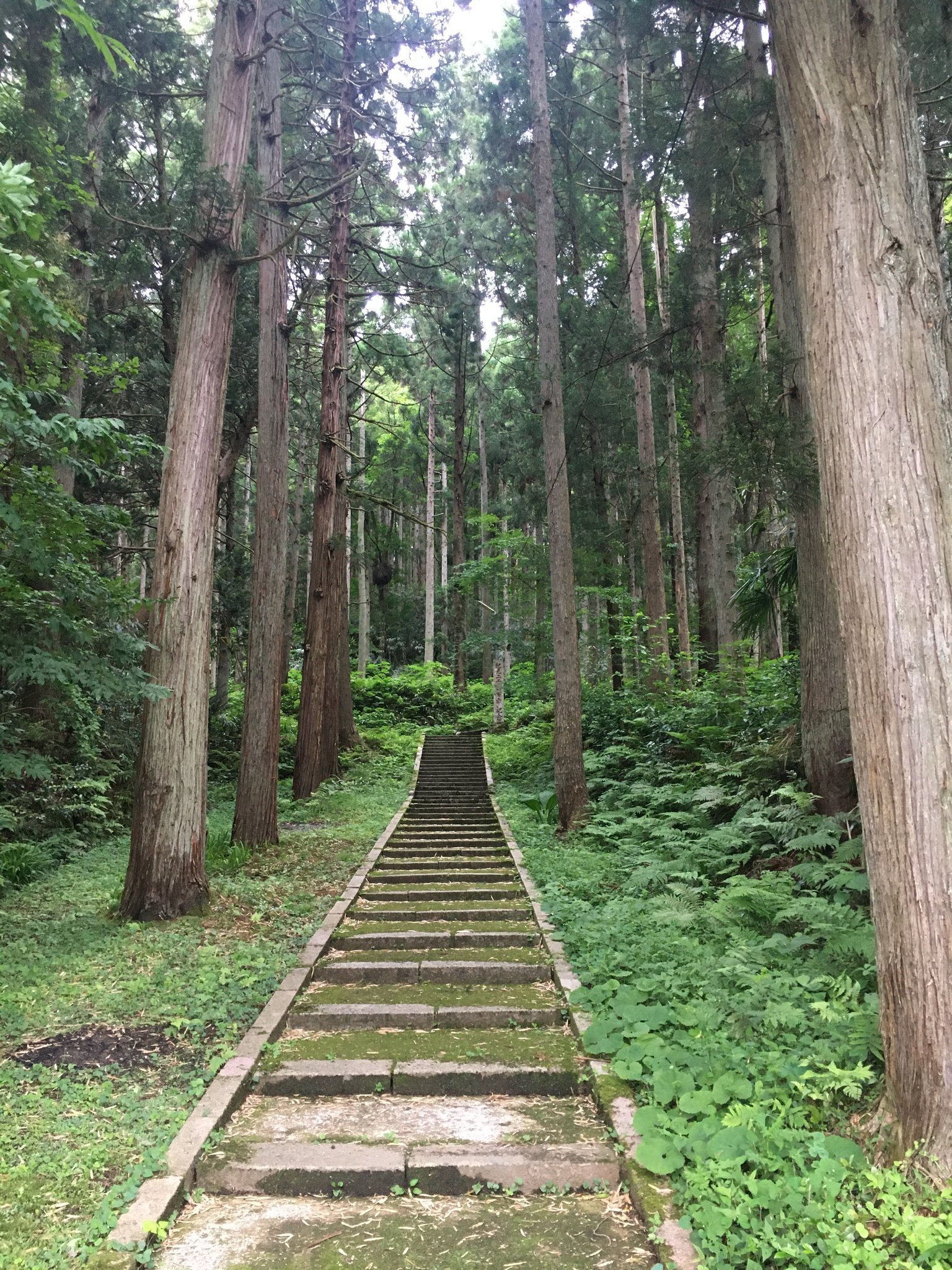 ⛩️ 나카야마 신사 (나카야마 진자) 이미지 6